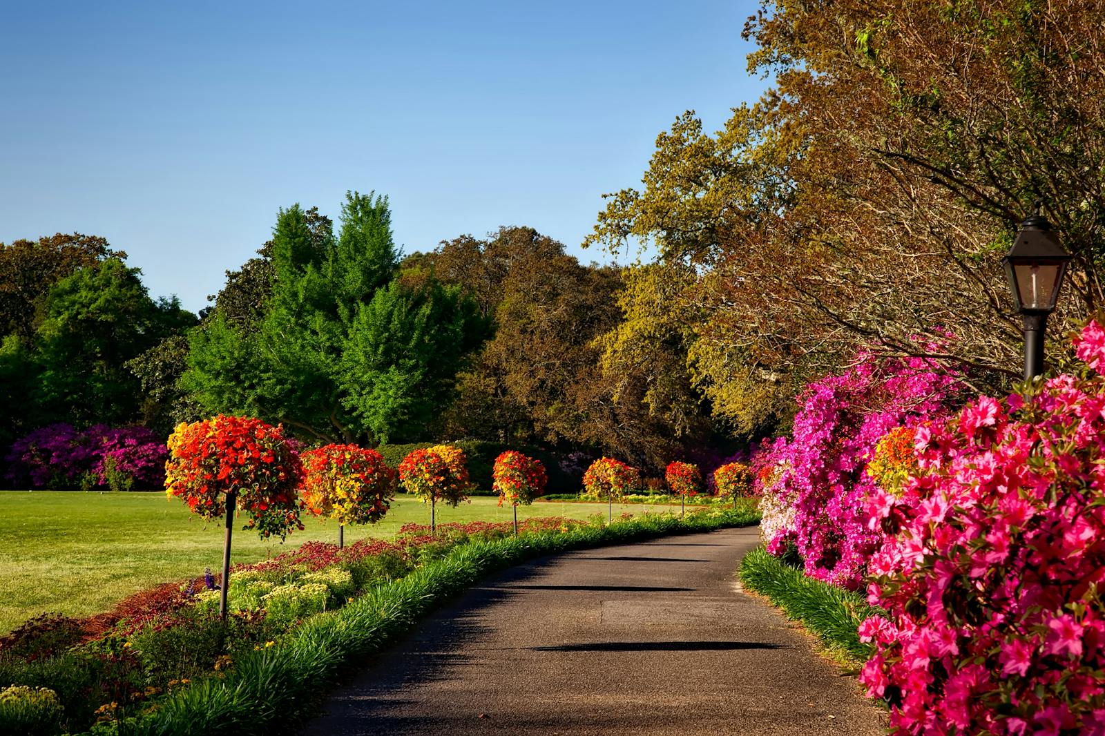 Tuinonderhoud Hilversum